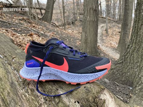 Nike Pegasus Trail 3 Review