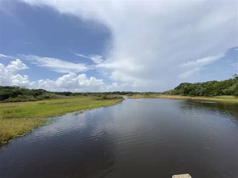 Best Camping Trails in Myakka River State Park | AllTrails