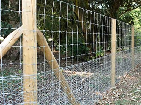 Chicken Wire Fence for Feeding Poultry, Protecting Plants, Prevent Animals