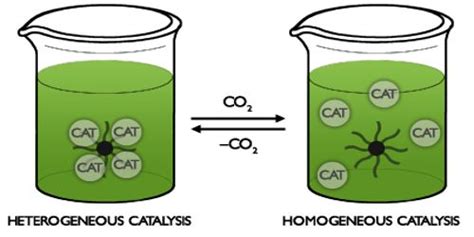 Homogeneous Catalysis - QS Study