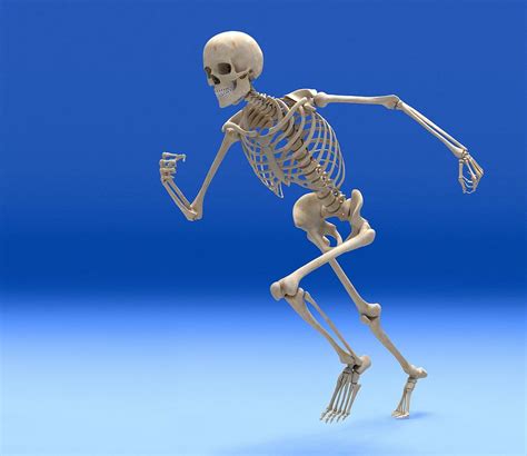 JUST WALK OUT you can leave!! Skeleton running : r/MemeTemplatesOfficial