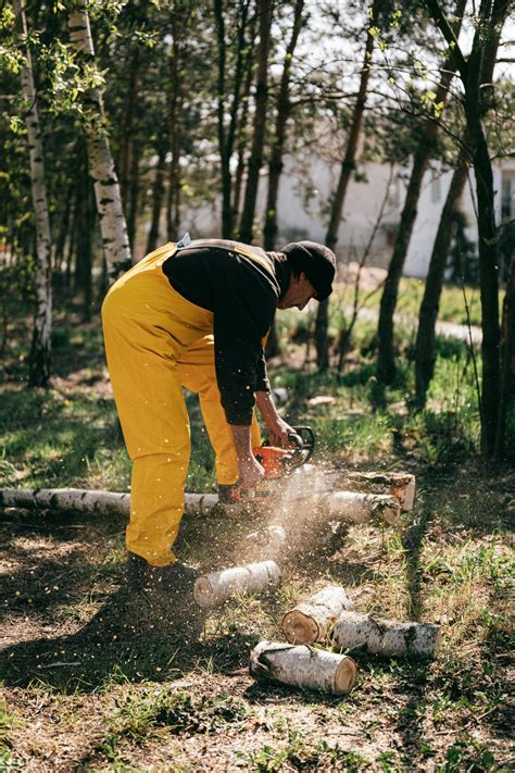 Lumberjack with firewood and chainsaw · Free Stock Photo