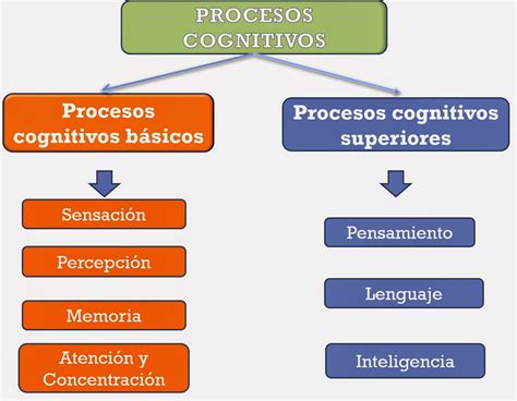 Mapa Conceptual Y Mapa Mental Procesos Cognitivos | Images and Photos ...