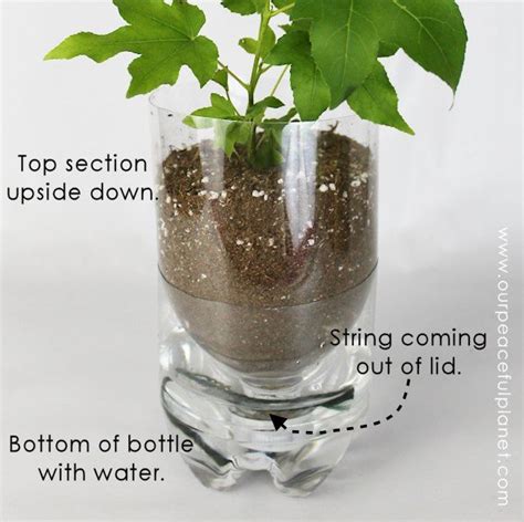 20 DIY Self Watering Planters