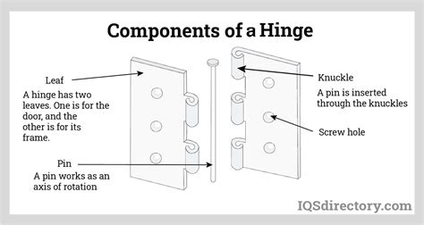 Various Types Of Hinge Joint at Roy Barry blog