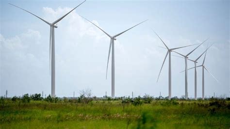 The Environmental Impact of Wind Energy: A Comprehensive Analysis ...