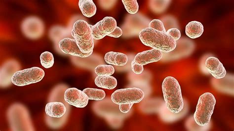 How the bacteria in your gut affect your mind and body - UWINHEALTH