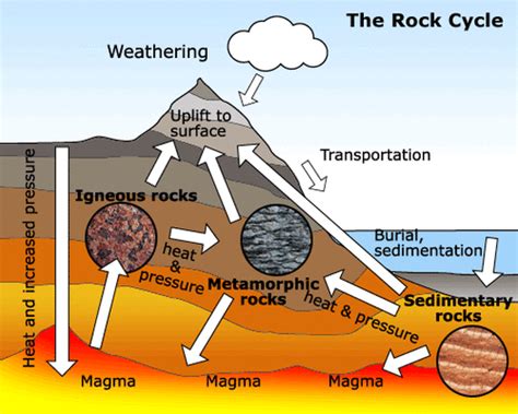 AP Notes - Rock Cycle and Formation - AP Environmental Science