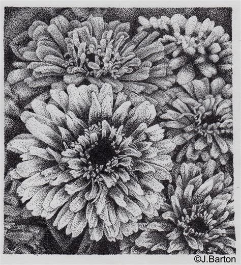 Stippled flowers pen drawing by Jenny Barton | Stippling art, Dotted ...