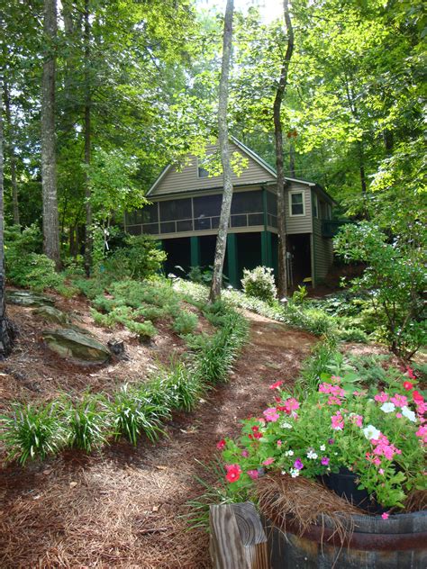 Rustic Cabin Landscaping Ideas