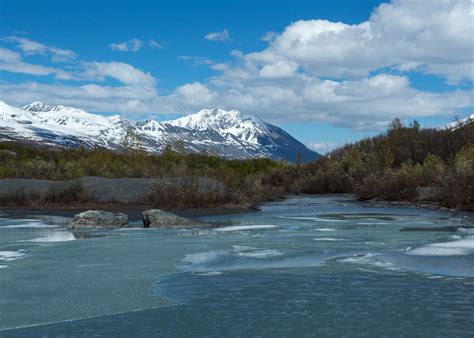 The Arctic National Wildlife Refuge and the Sanctity of All Life ...