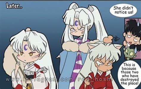 Inuyasha and Sesshomaru Fan Art