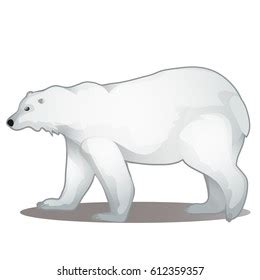 Cute Animated Polar Bear Isolated On Stock Vector (Royalty Free ...