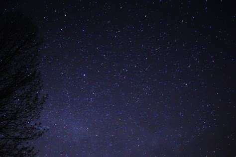 File:Night Sky Stars Trees 03.jpg - Wikimedia Commons