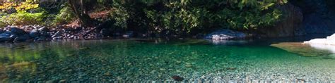 30 Foot Pool | Lynn Canyon Park & Suspension Bridge in Lynn Valley, BC