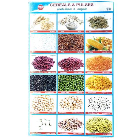 Cereals And Pulses School Project Chart Stickers - Clickere