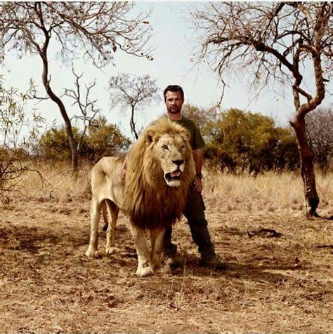 Kevin Richardson (the Lion-Whisperer) and one of his lions. | Dieren ...