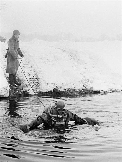 Deadly dolphins: The story of frogmen in the Soviet Special Forces ...