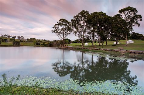 Australian Botanic Garden Mount Annan | Botanic Gardens of Sydney