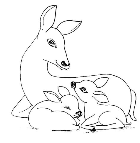 Mother Deer and Fawns coloring page - Download, Print or Color Online ...