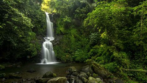 Taman Nasional Gunung Gede Pangrango (TNGGP) – Lido Lake Resort by MNC ...