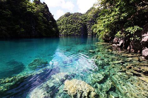 Palawan Island Philippines: One of The Most Beautiful Island in The ...