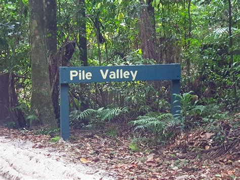 Fraser Island Rainforest - All About Fraser