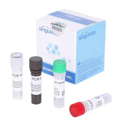 Hepatitis B Virus (HBV) DNA PCR Test | Quantitative Diagnostic Kit for ...