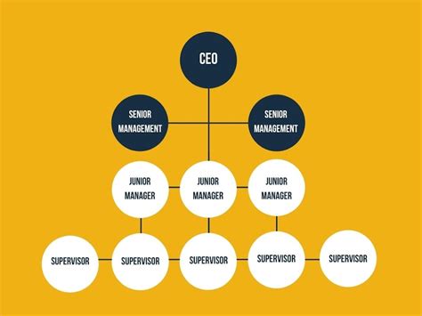 Hierarchical Structure: Definitions and Examples