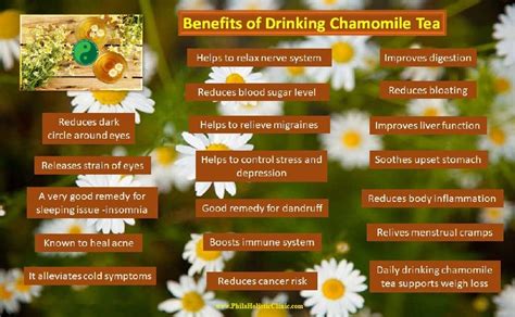 chamomile-tea-benefits_обработано - Philadelphia Holistic Clinic