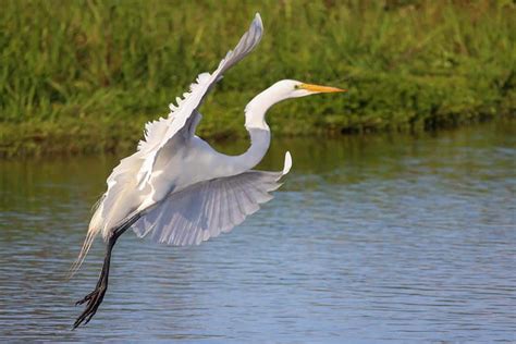 Myakka River State Park