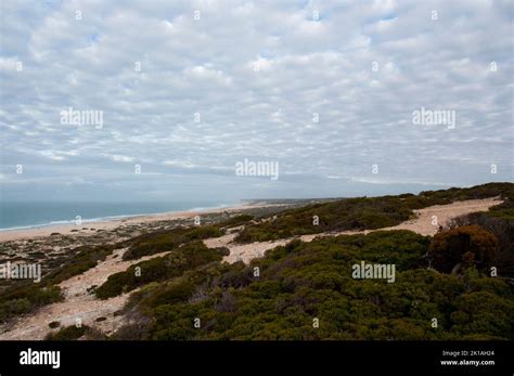 Great Australian Bight Marine Park Stock Photo - Alamy