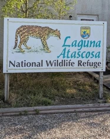 Laguna Atascosa Wildlife Refuge - Go Wandering