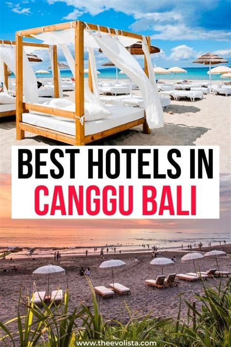 12 Best Hotels in Canggu Bali, Indonesia