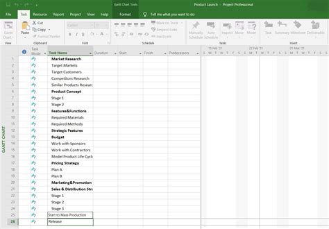 How to Make a Gantt Chart in Microsoft Project