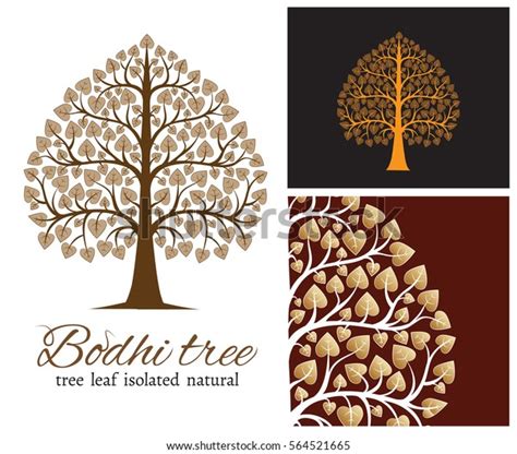 Tree Bodhi Leaf Stock Vector (Royalty Free) 564521665