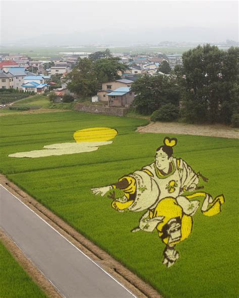 Roving Light TravelPhotoBlog: Rice Paddy Field Art