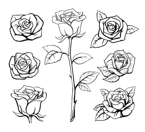 Rose Flower Outline Drawing | Best Flower Site