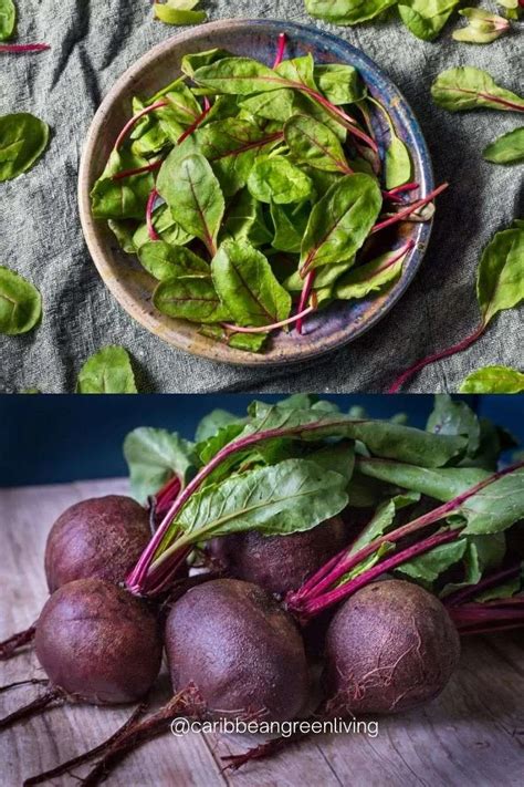 Beet Greens: Benefits & How To Eat Them