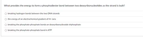 Solved What provides the energy to form a phosphodiester | Chegg.com