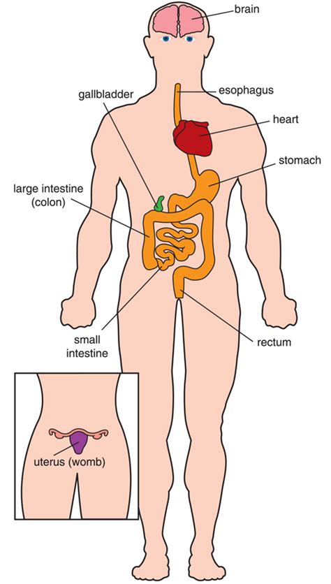 Muscular Dystrophy Symptoms