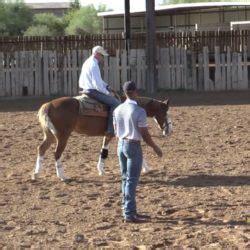 Matt Mills Reining Horses | Team Matt Mills