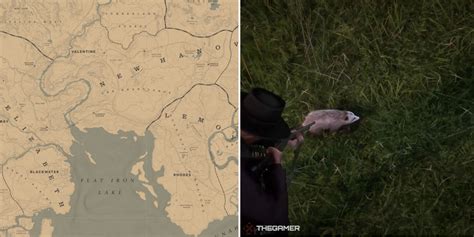 Opossum rdr2 location