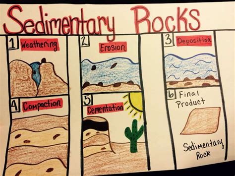 How Are Sedimentary Rocks Formed| Process of Formation - Forestry Bloq