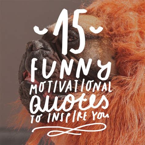 15 Funny Motivational Quotes to Inspire You - Bright Drops