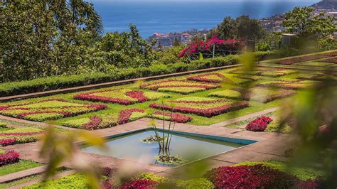 Madeira Botanical Garden - Visit Madeira | Madeira Islands Tourism ...