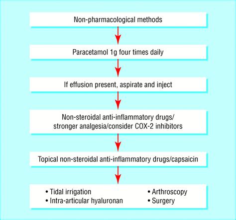 Pathophysiology Of Knee Osteoarthritis