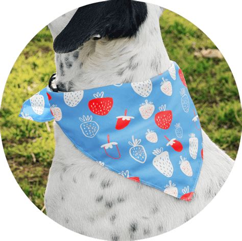 Create Personalized Custom Dog Bandanas – No Money Upfront