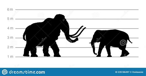 Mammoth Vs Elephant: A Comprehensive Comparison Of Them