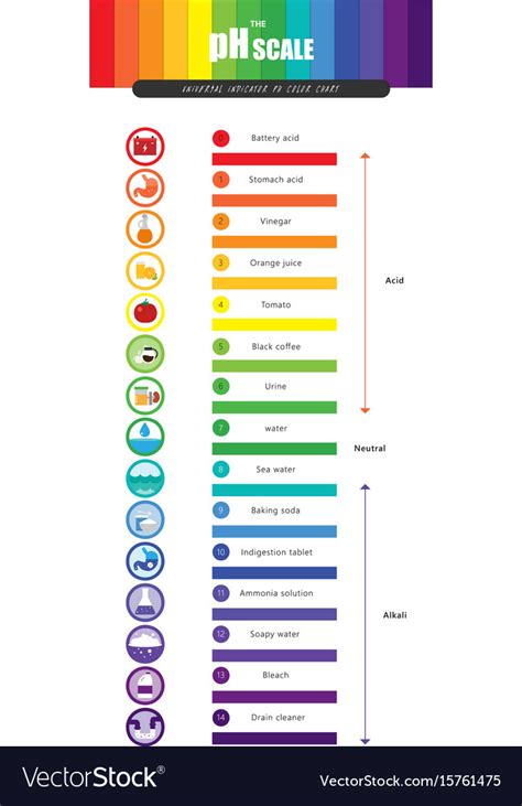 Ph scale universal indicator color chart Vector Image